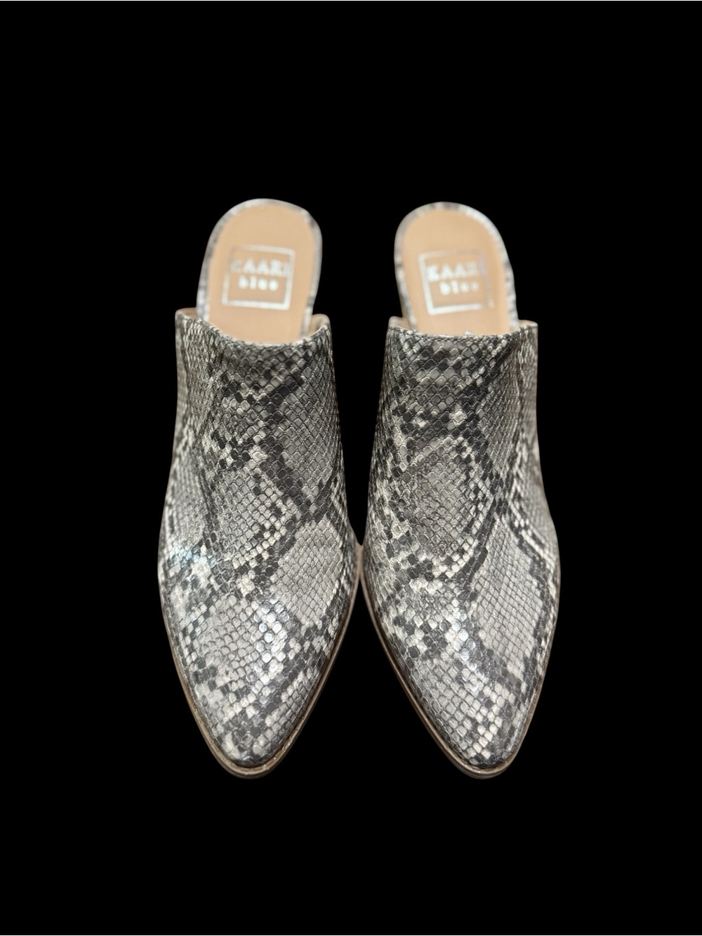Kaari Blue Snake-Print Pointed Mule in Gray